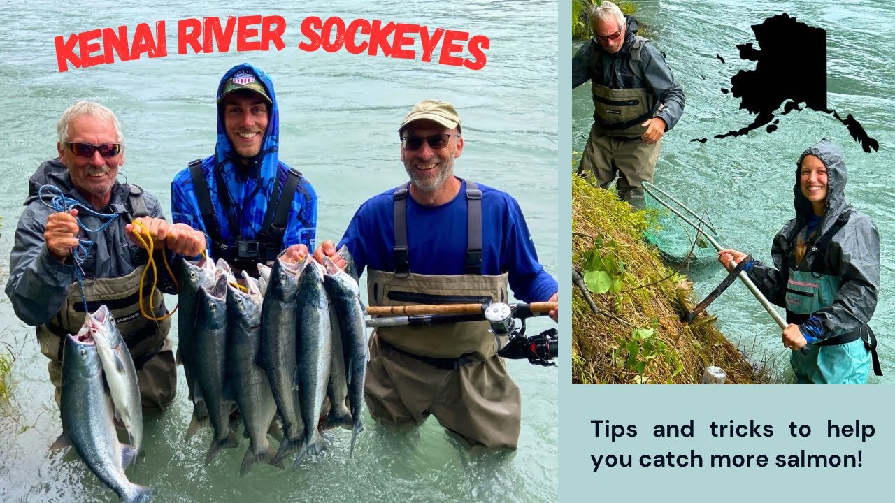 Salmon Fishing on the Kenai River | Swiftwater Park, Soldotna Alaska