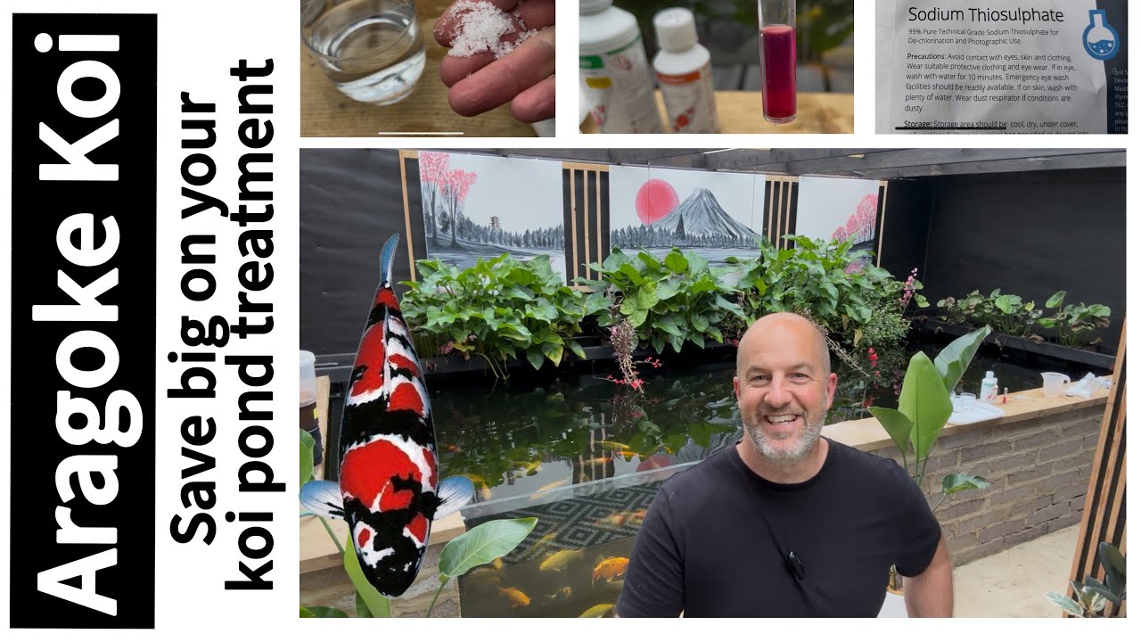 Big savings on Koi Pond Care: Sodium Thiosulphate for Dechlorination!