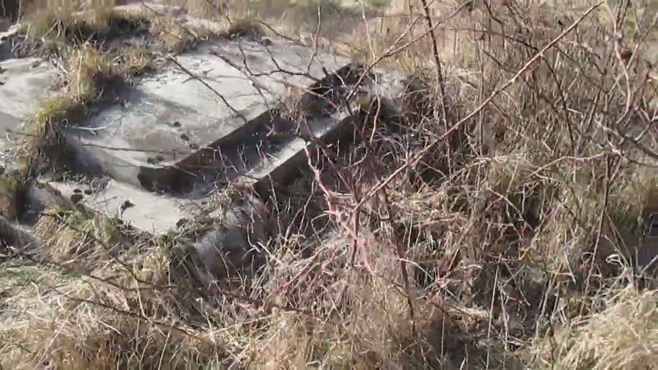 Kirkut cmentarz żydowski w Międzyrzecu Podlaskim 10 03 2025 rok 001