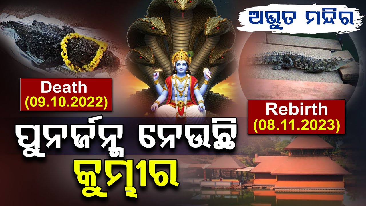 Babiya the Vegetarian Crocodile: Unbelievable but True ! | Ananthapura Temple | Argus Digital Teapot
