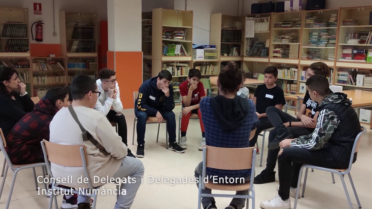 Consell de Delegats i Delegades a l'Institut Numància