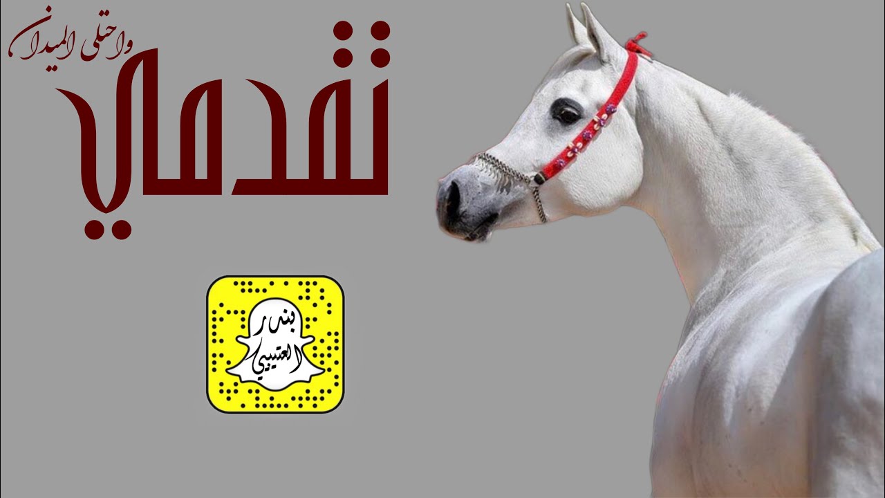 تقدمي واحتلي الميدان اداء ماجد الرحيمي 2023 حصرياً