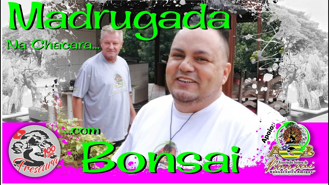 ✅🤞Bonsai Na Madrugada!!