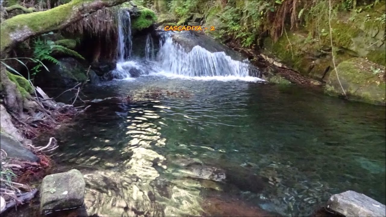 SENDA VERDE DO RÍO FARELOS RUTA LARGA CIRCULAR Variante II  30 07 22