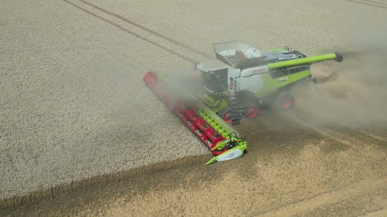 Clenchwarton /Kings Lynn ,norfolk, love norfolk, up above sky high,Este Anglia, Claas Lexion 8900