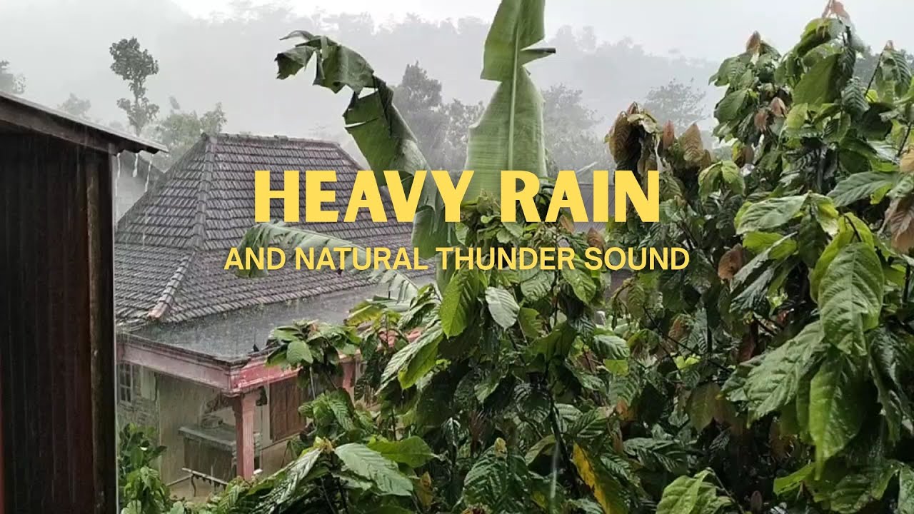 Rainstorm with Distant Thunder | Calm Sleep Sounds