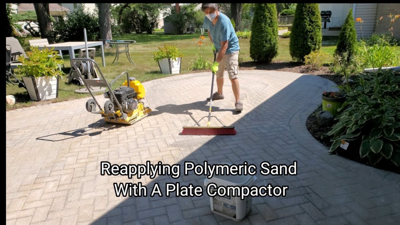 Reapplying Polymeric Sand With A Plate Compactor