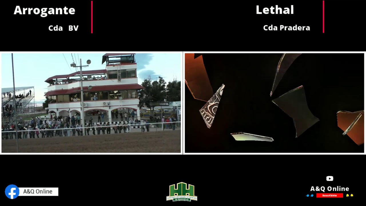 Arrogante vs Letal 08/02/26 en HH