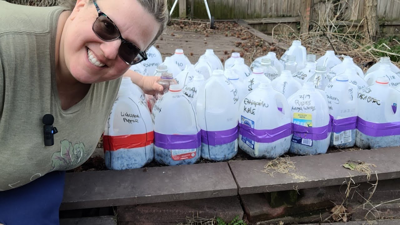 Mid-March, What I'm Winter Sowing this weekend, WS updates