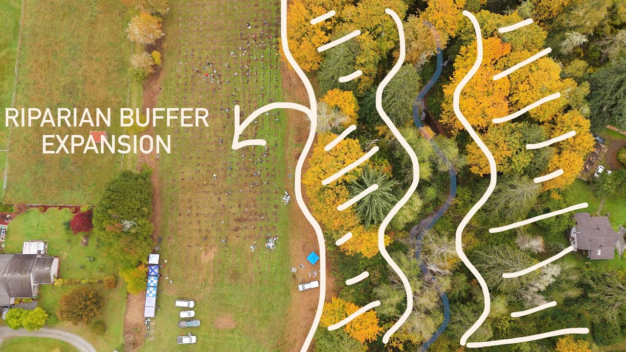 Lower Kenney Creek Restoration Project: Building Healthy Resilient River Systems in Whatcom County.