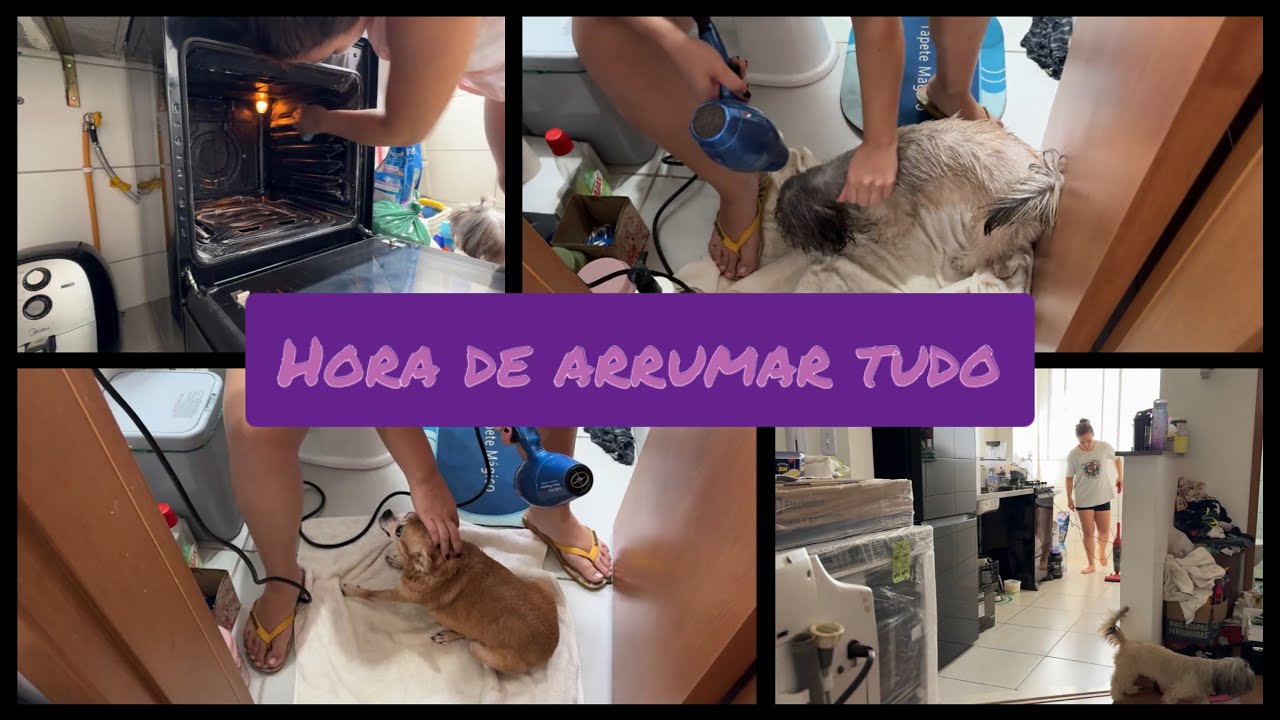 Arrumando tudo para sair de casa por causa da obra 🏠✨