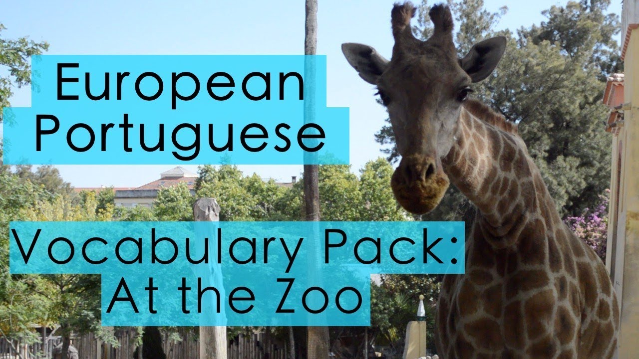 European Portuguese Vocabulary - At the Zoo/Animals
