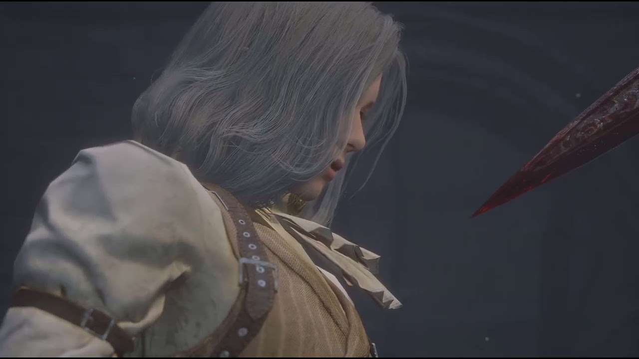 Nameless puppet ng+ Lies of P Two dragon sword Master