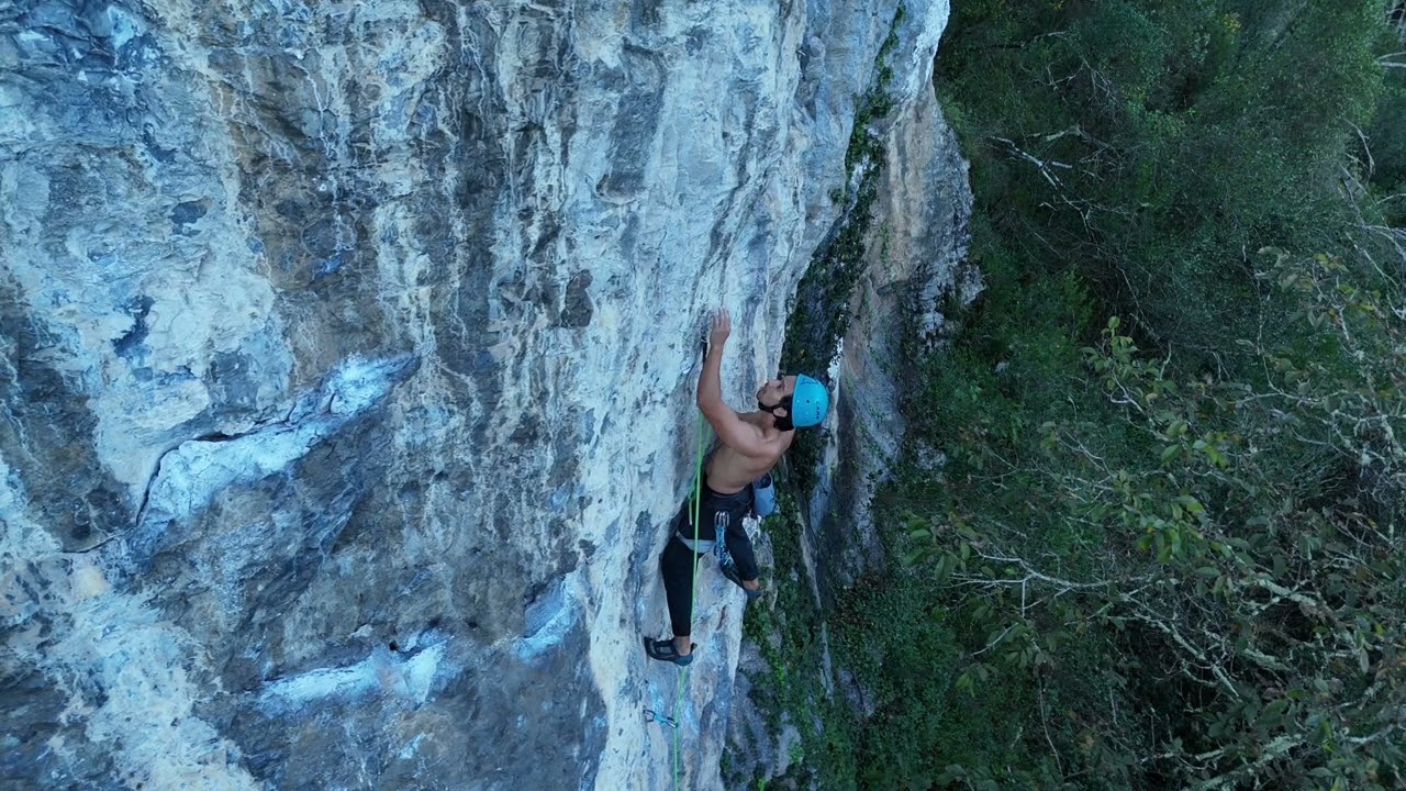 COALLA Leffe 6c