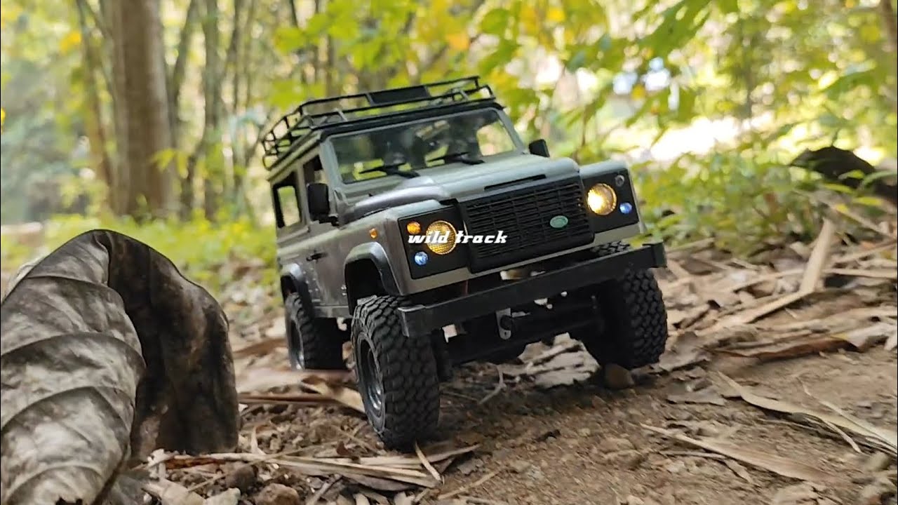 🔥jeep exploring the wild bamboo forest‼️wild track