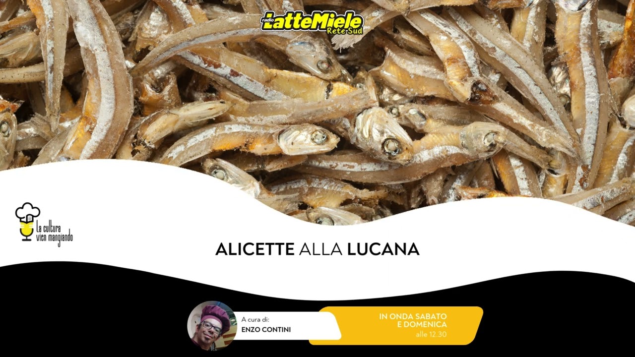 🍴 La cultura vien mangiando | Alicette alla lucana