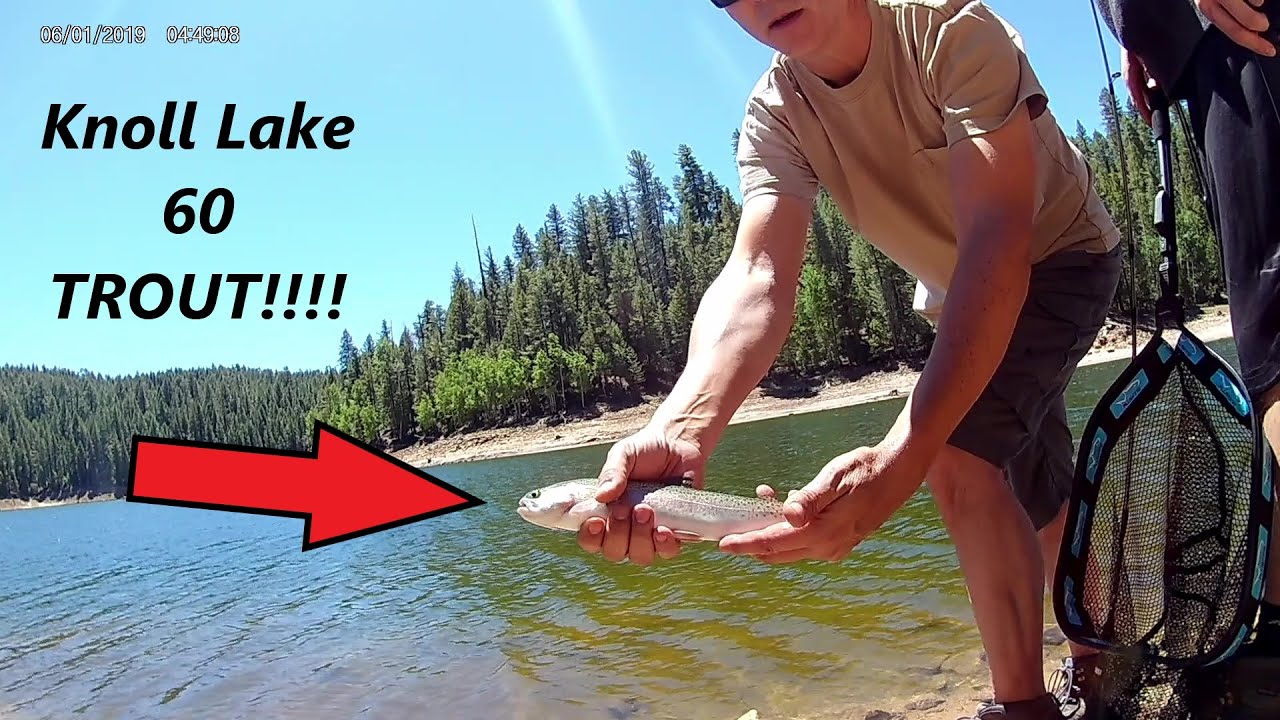 Knoll Lake Campground and Fishing Arizona 2021 60 Trout!!