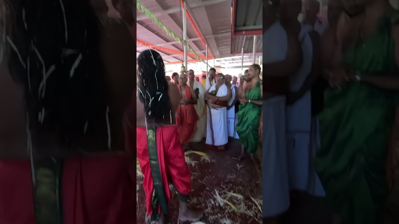 ಸಾಣೆಕಲ್ಲುನಾಗಬನ:  ನಾಗ ದರ್ಶನ 