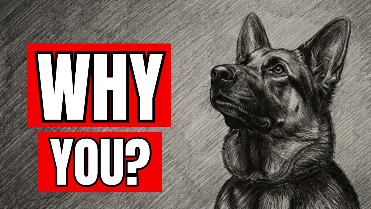If You Have a Dog, GOD Chose You for This Reason | Dog Psych