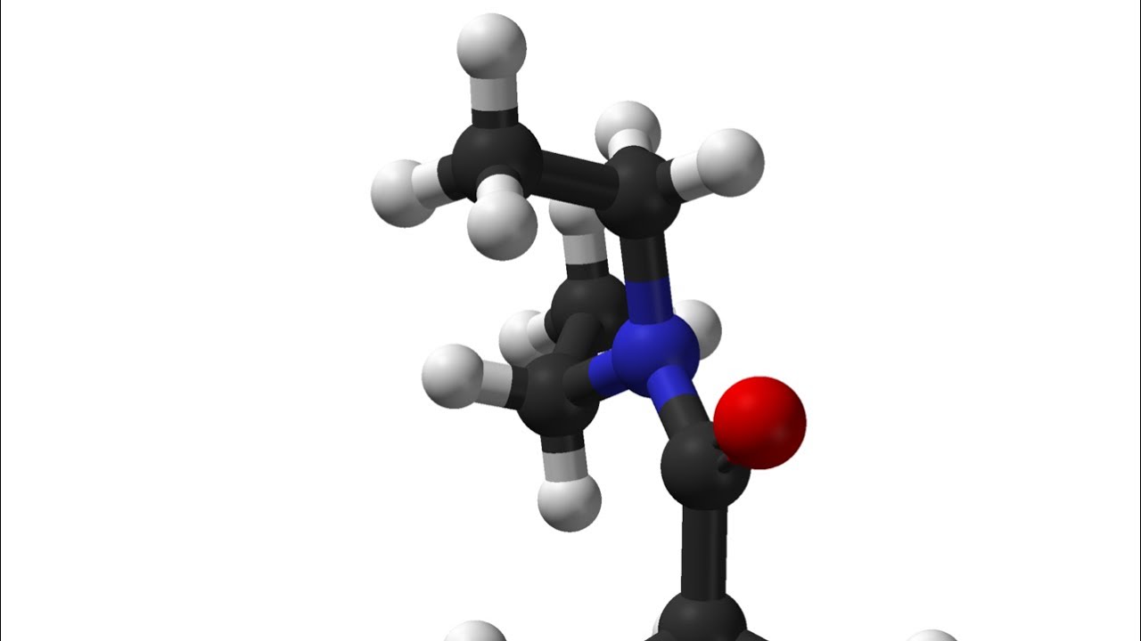 Decoding the mind of ai and humans and lazy lizards lounge club part 1 of 20