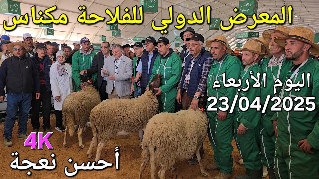 الغنم والبقر والدجاج المعرض الدولي للفلاحة مكناس اليوم الأربعاء 23/04/2025