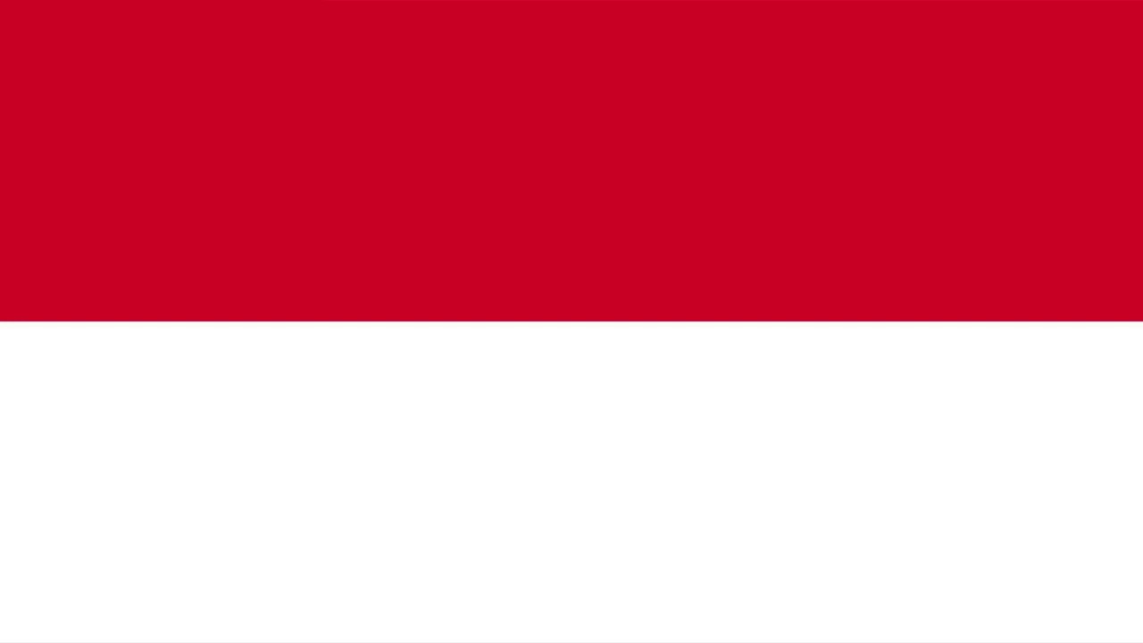 Flag animation (all 196 flags of sovereign countries)