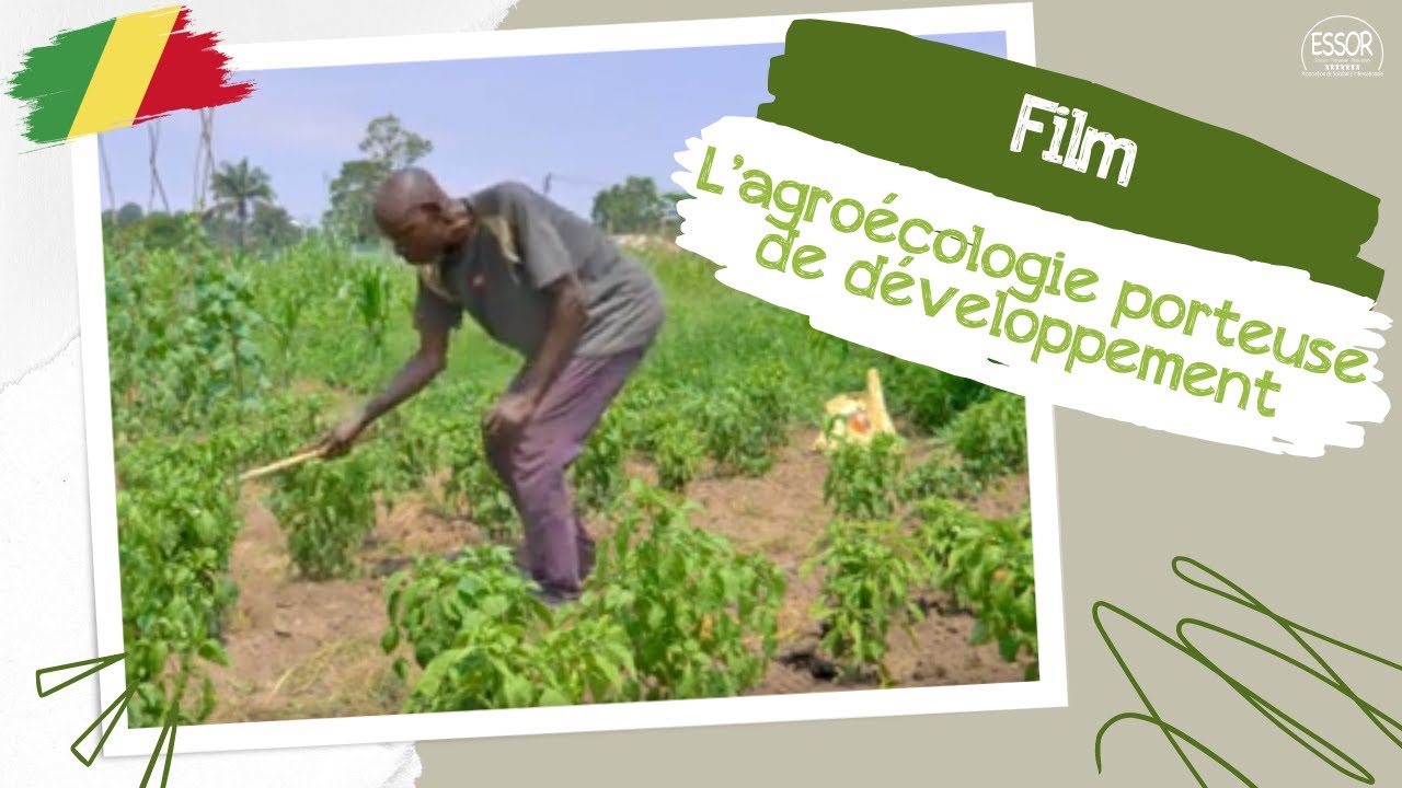 ESSOR au Congo - L'agroécologie porteuse de développement