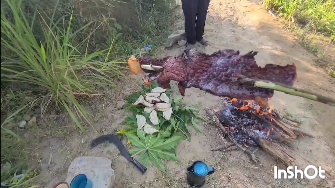 Esta si es vida  tacos paseados i un tasajito de carnita 