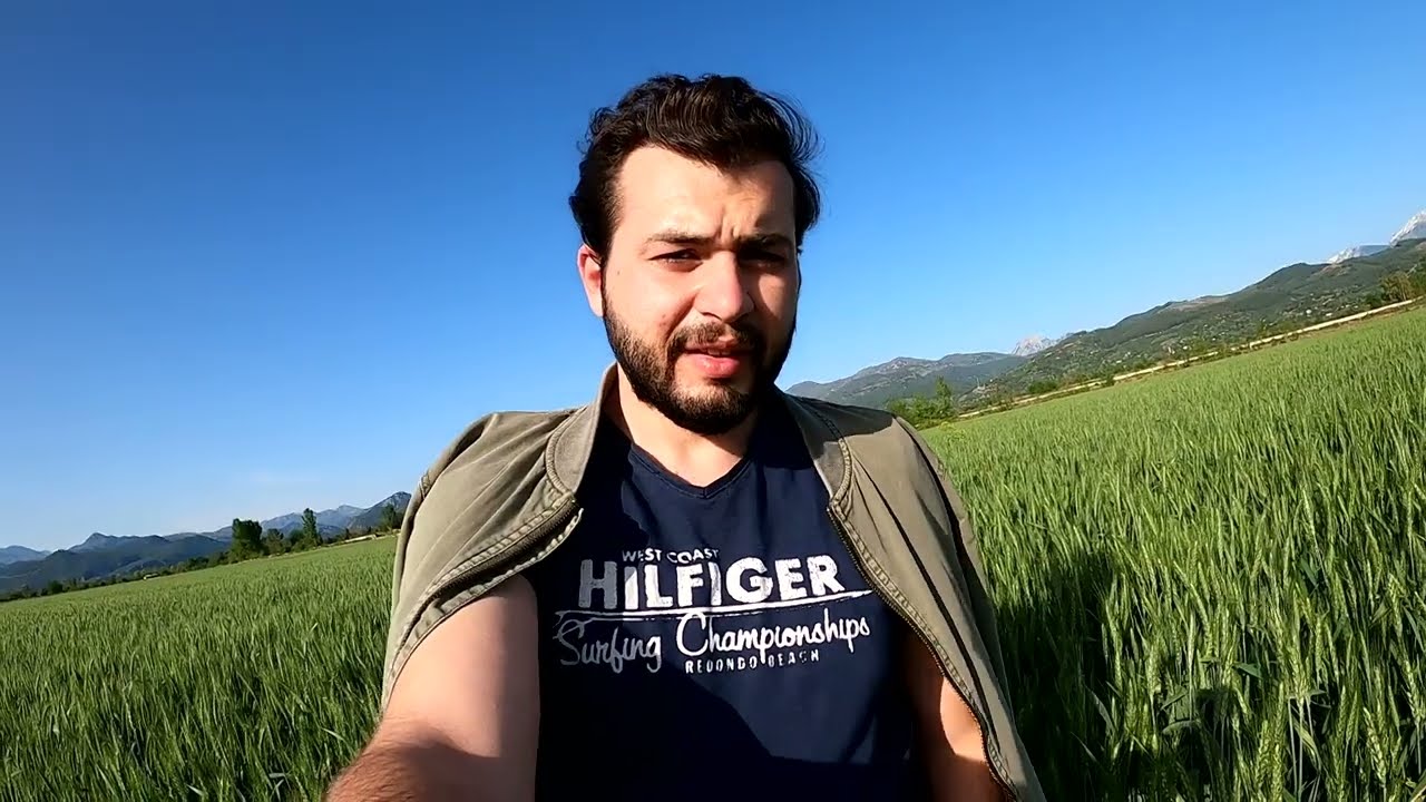 Topraktan Sofraya Buğday || Beyazhan Buğday çeşiti kontrolleri 🌾