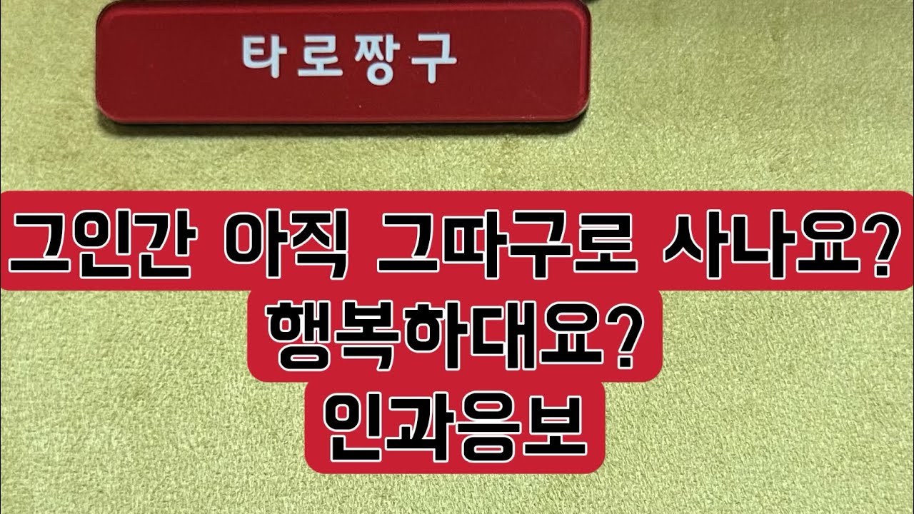 [타로짱구] 희망고문 없는 현실직시 타로