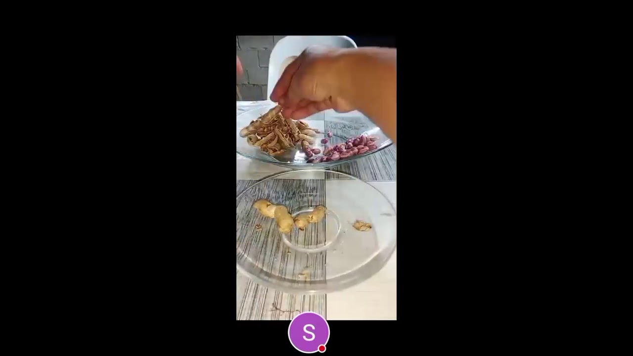 Satisfying popping sound of boiled peanuts.. #poppingsound#asmrpopping#peanuts# asmrpeanuts