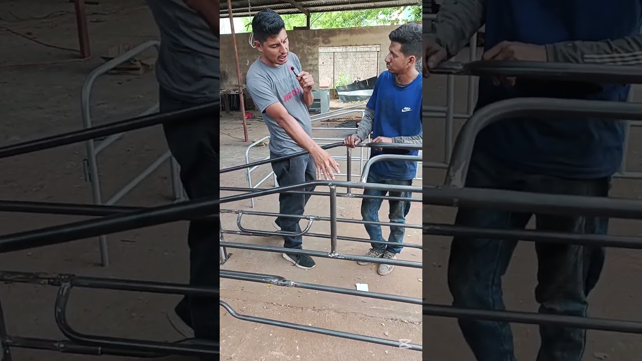 Jaulas de maternidad y gestación porcina