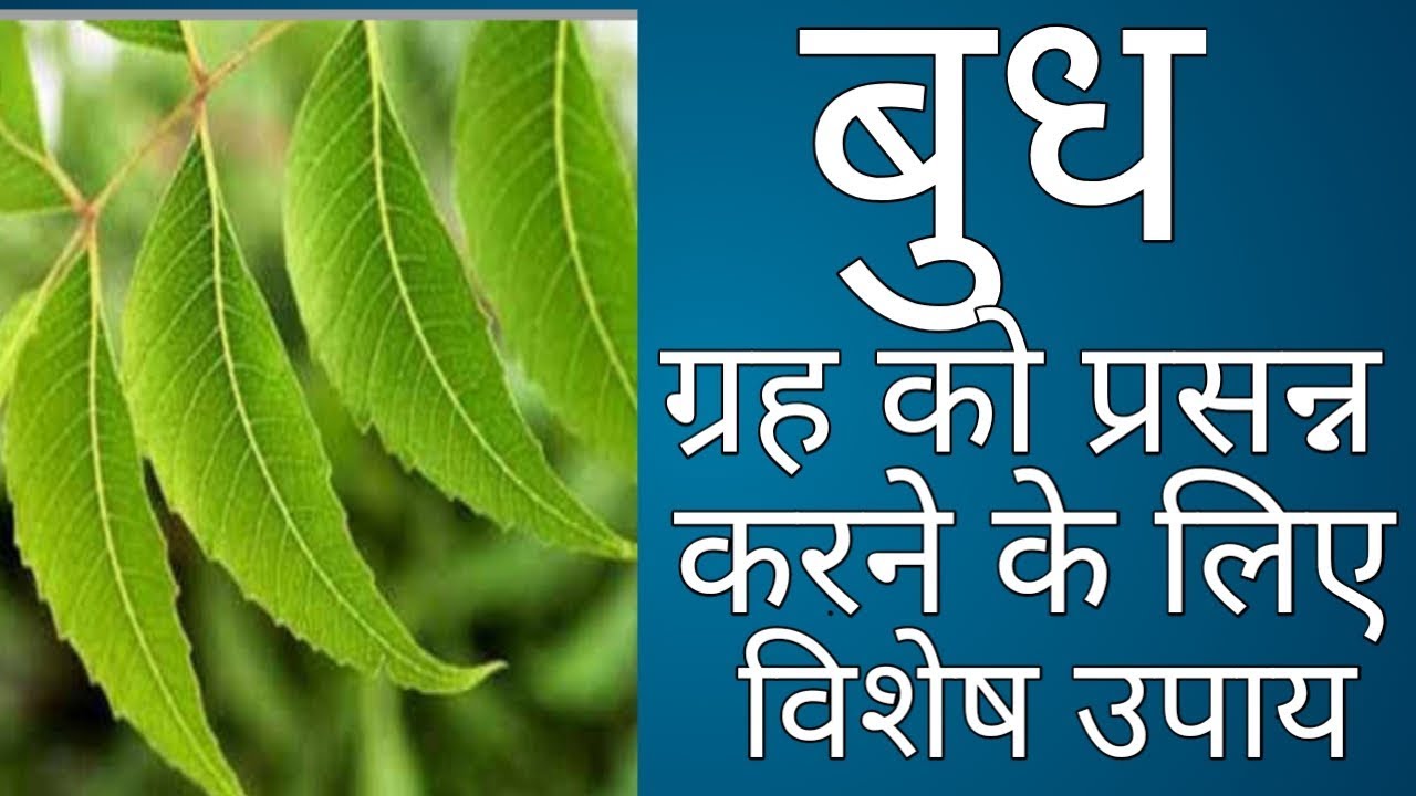 मुफ्त आसान उपाय बुध ग्रह को प्रसन्न करने का ।
