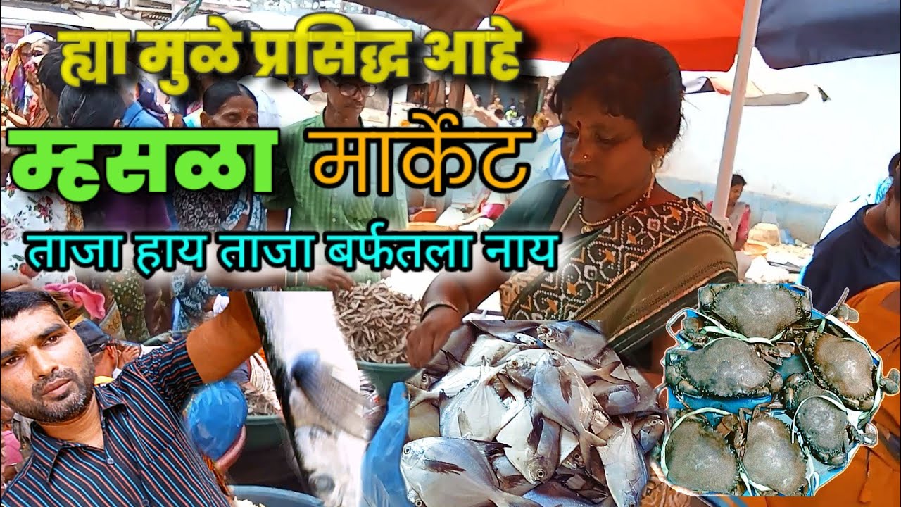 म्हसळा फिश मार्केट | famous mhasla fish market #kokan #fish