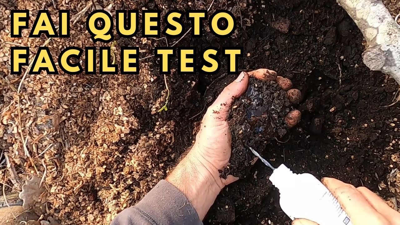 Fai questo Test e scopri se il tuo terreno &egrave; Fertile