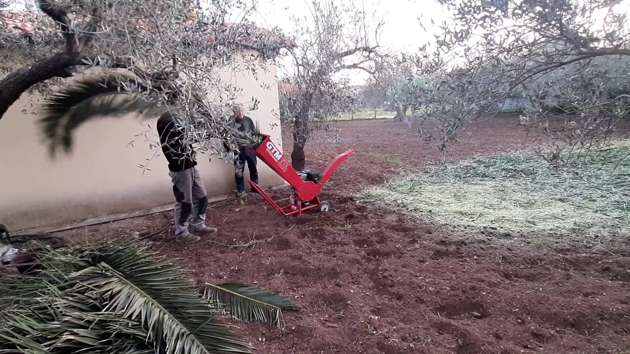 Wood Chipper GTM GST 600 Professional