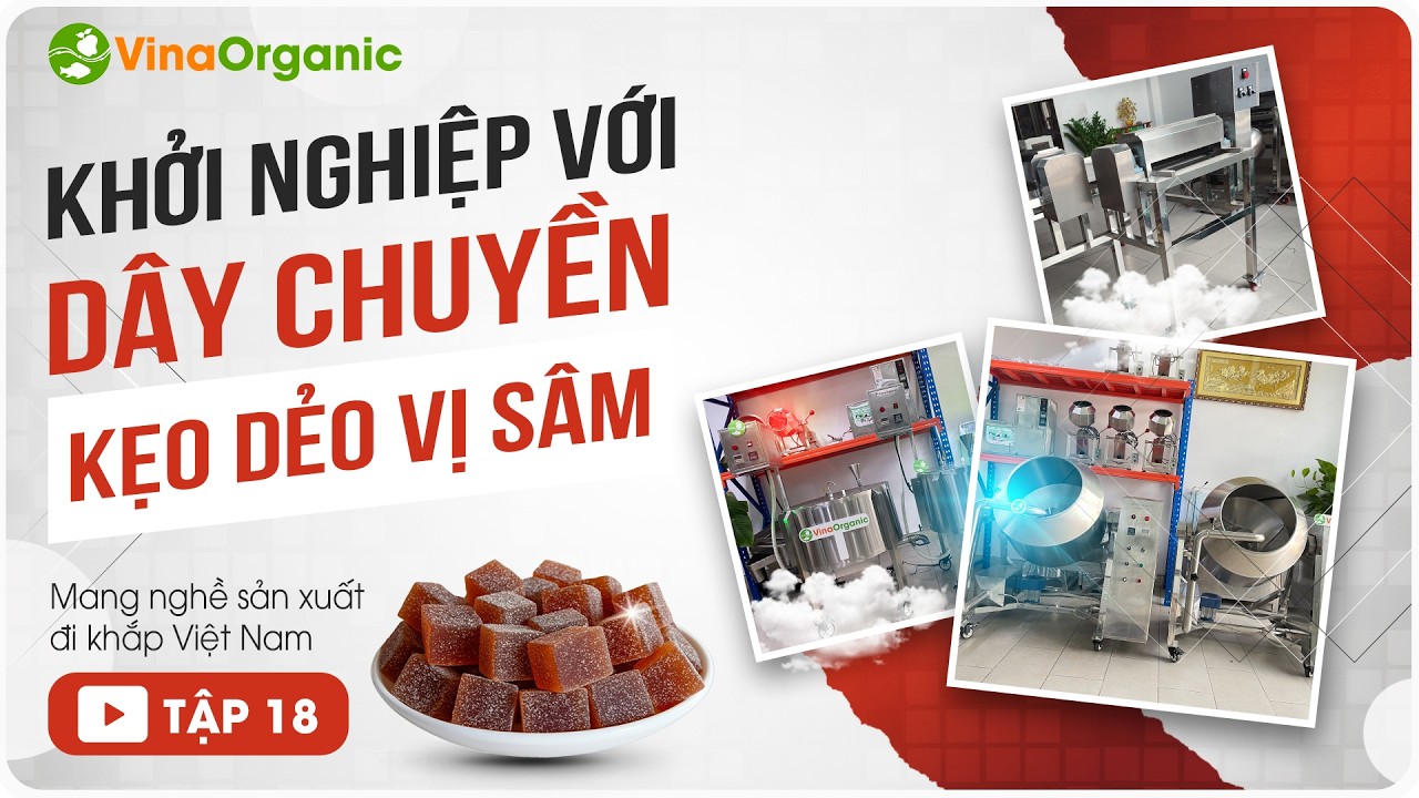 Mang nghề Sản xuất đi khắp Việt Nam -  Tập 18 | Khởi nghiệp với Dây chuyền sản xuất Kẹo dẻo vị sâm