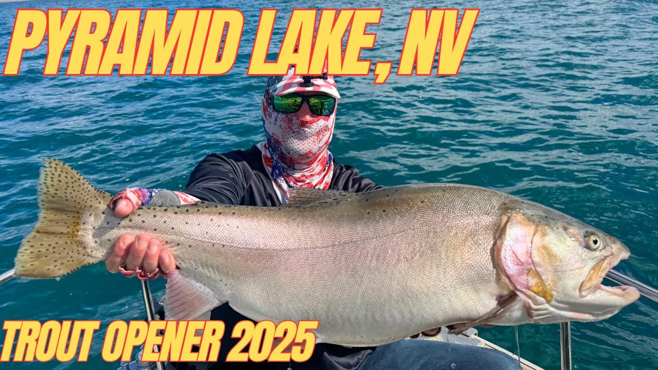 Пирамид-Лейк, Невада, открытие форели 2025 — Monster Cutthroat Trout