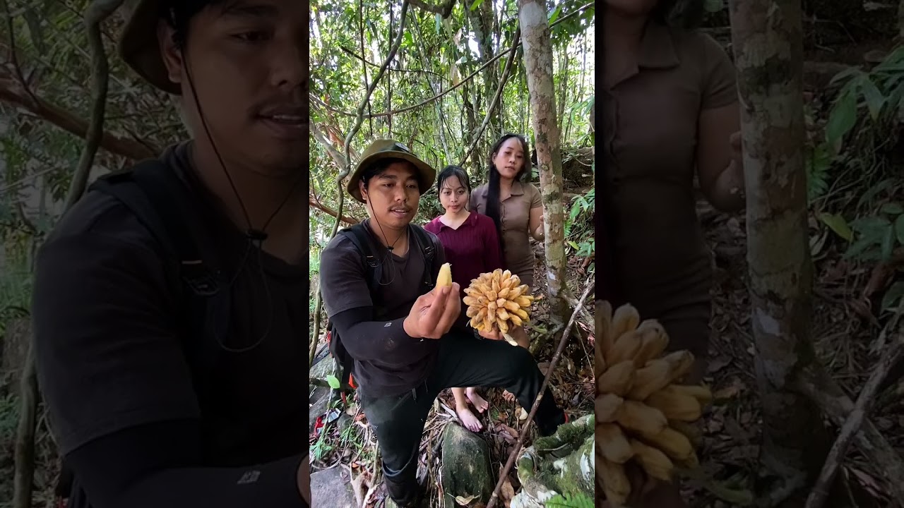 Root banana😱 l Wild Fruit Adventure 🌿😱  