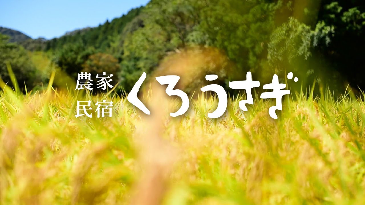 農家民宿くろうさぎ　～お山の中の小さなお宿～　高知県三原村