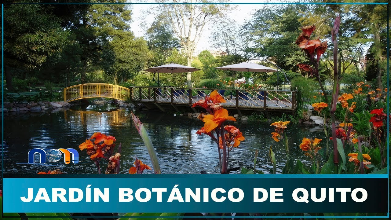 Jardín Botánico de Quito, Un tesoro verde en la ciudad