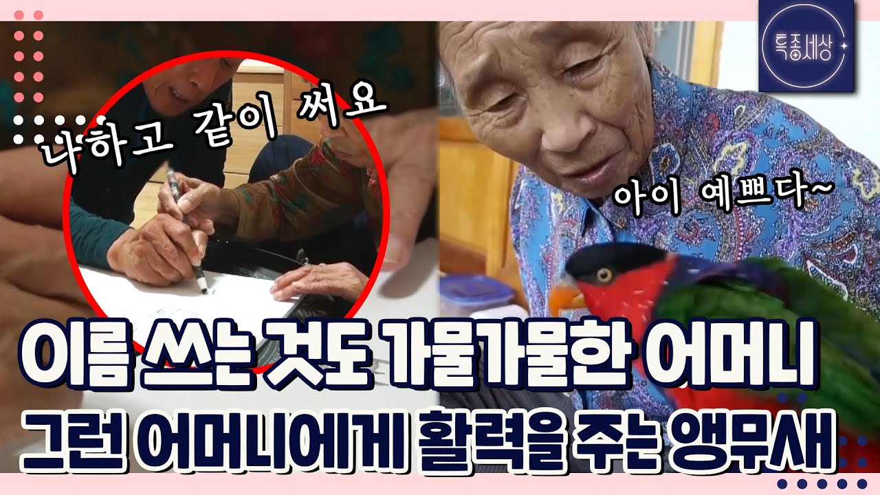 [FULL영상] 지친 삶 선물 같은 앵무새와 효심 깊은 남자