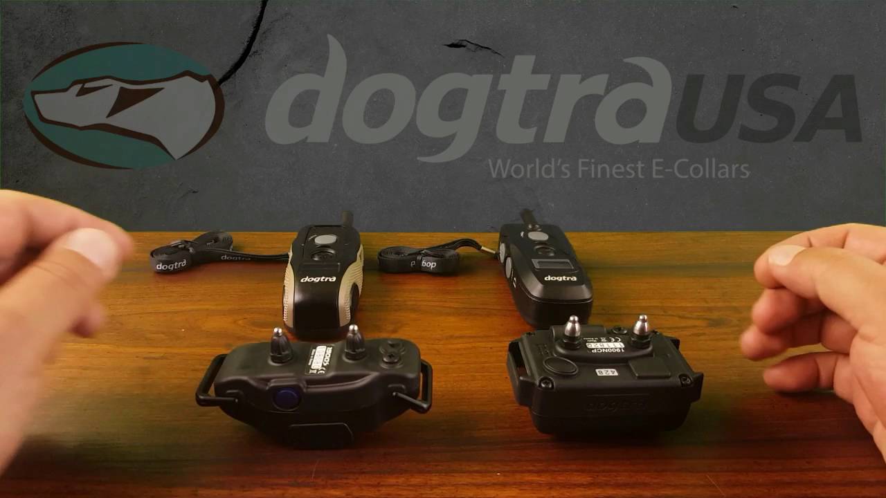 Dogtra 1900s vs 1900NCP - E-Collar Comparison | DogtraUSA.com