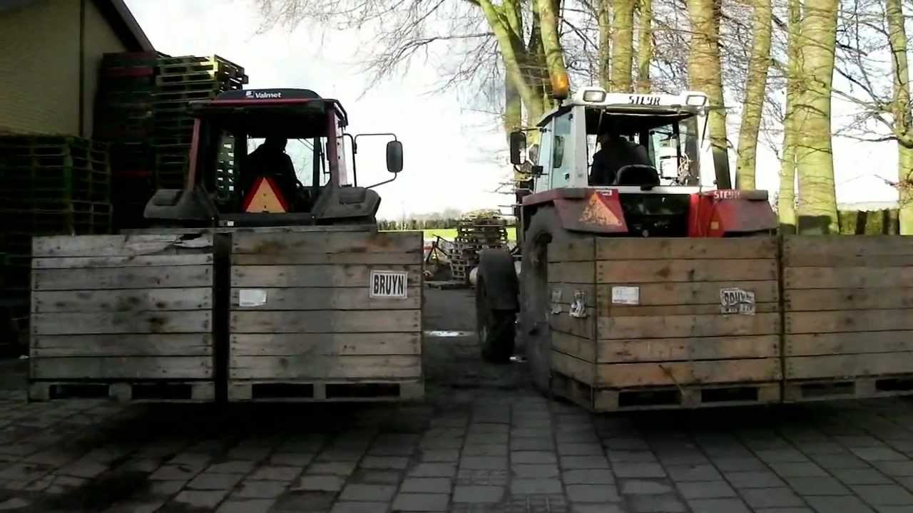 Trayplanten inpakken Aardbeienkwekerij van de Ven Oisterwijk