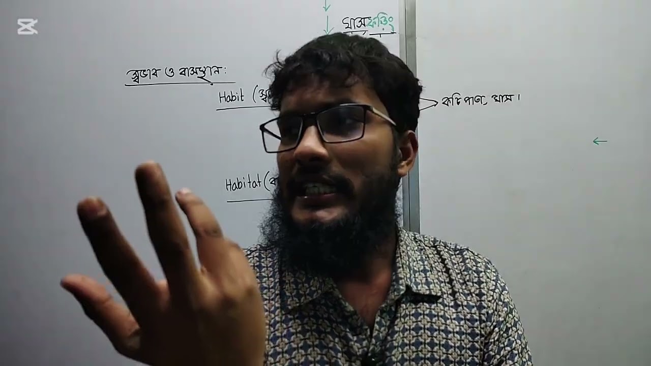 ঘাসফড়িং ০৩