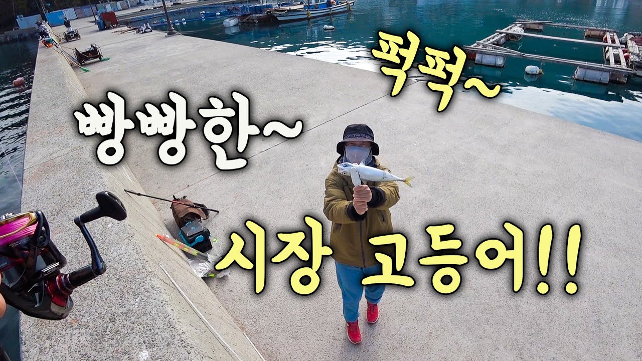 [다리tv] 와우!!! 시장급 고등어가 퍽퍽 하는 방파제!!!