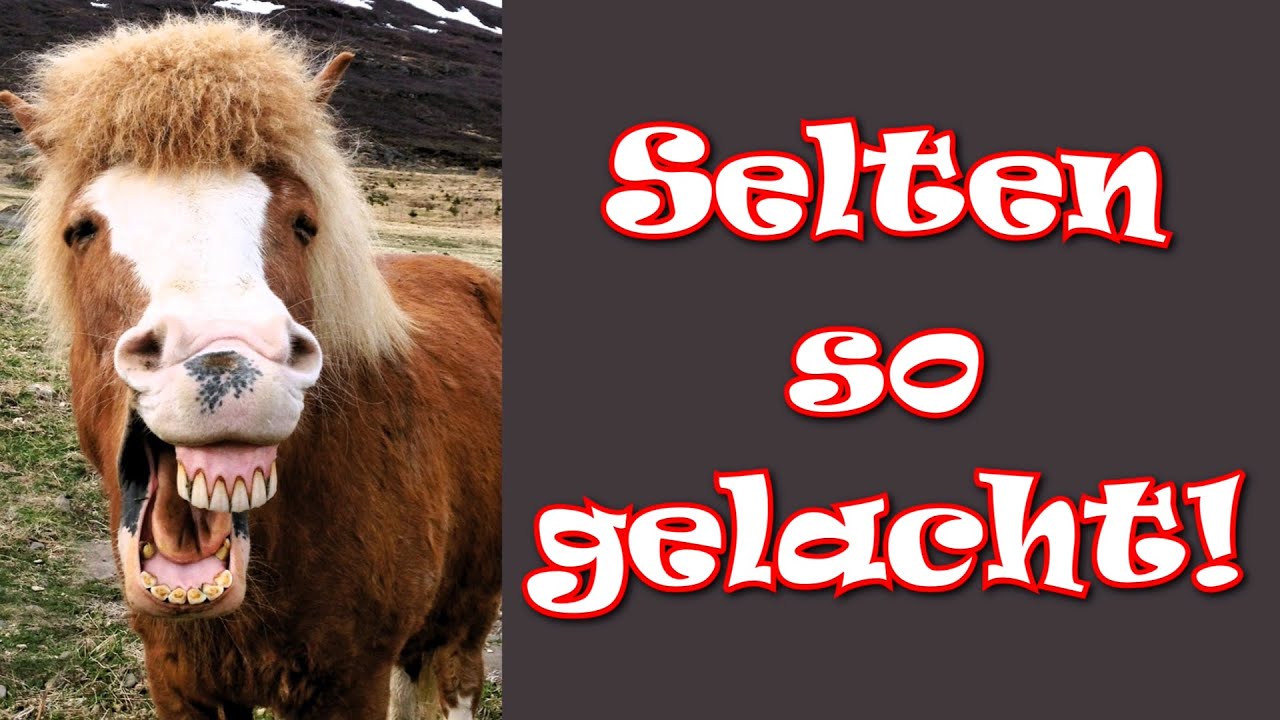 Selten so gelacht - Trinklieder-Potpourri/German Drinking Songs Medley