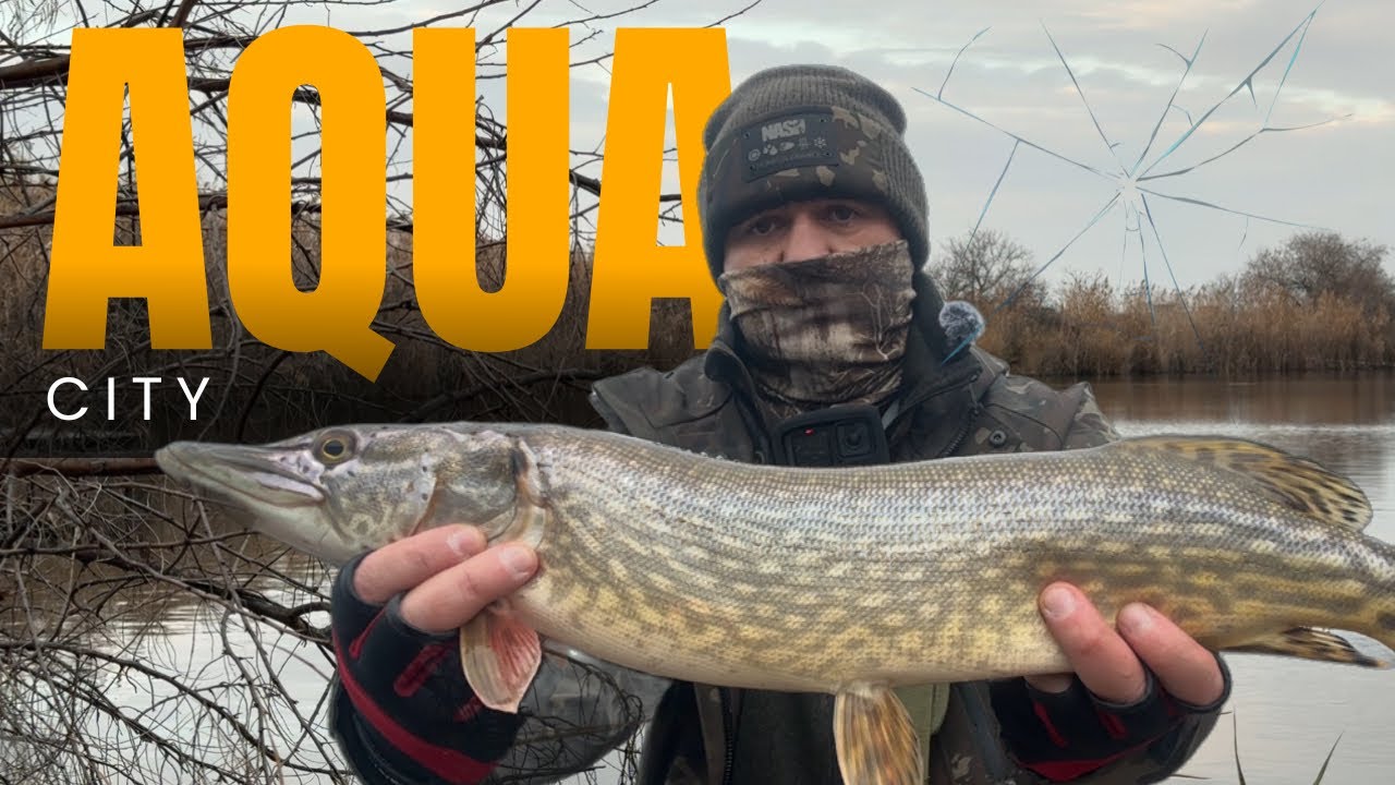 Вместо судака наловил щук !!! Проводка на судака косит мамочек !!! Щуки радуют своим размером !!!