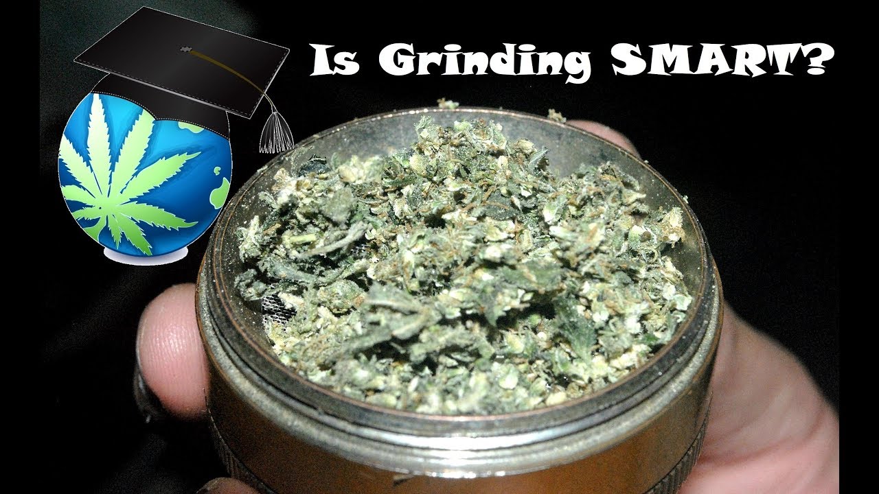 SHOULD Weed Be Grinded Up? + OG Grinder Review