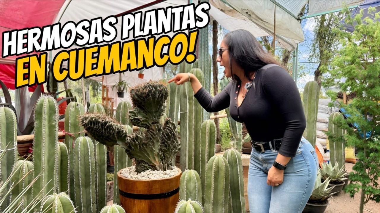 Fui a COMPRAR Plantas a CUEMANCO y están HERMOSAS. CDMX